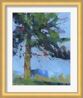 Gilfach Pine Fine Art Print