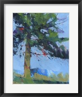 Gilfach Pine Fine Art Print