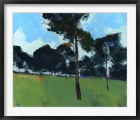 Moorland Pines Fine Art Print