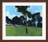 Moorland Pines Fine Art Print