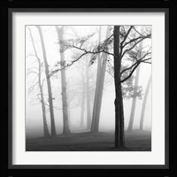 Ethereal Trees Fine Art Print