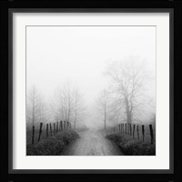 Sparks Lane in Fog Fine Art Print