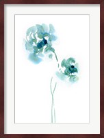 Teal Florals Fine Art Print