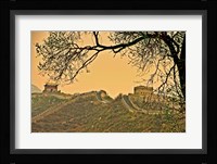 Ancient Walls Fine Art Print