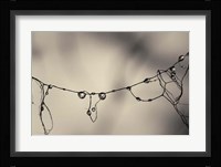 Moss 2017 Fine Art Print