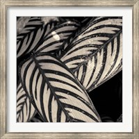Varigated Leaves No. 2 Fine Art Print