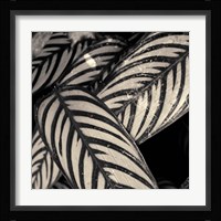 Varigated Leaves No. 2 Fine Art Print
