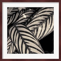 Varigated Leaves No. 2 Fine Art Print