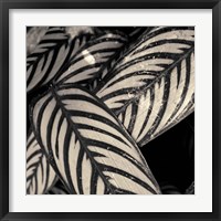 Varigated Leaves No. 2 Fine Art Print