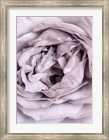 Rose Heart Fine Art Print