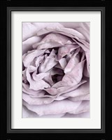 Rose Heart Fine Art Print