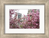 Notre Dame 1 Fine Art Print