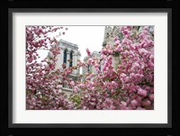Notre Dame 1 Fine Art Print
