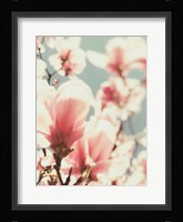 Paris Petals 1 Fine Art Print