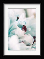 Paris Petals 2 Fine Art Print