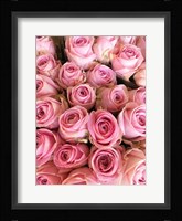 Paris Petals 3 Fine Art Print