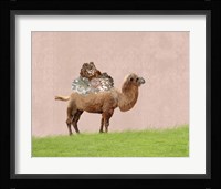 Camel on Pink Fine Art Print