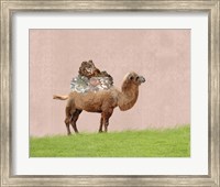 Camel on Pink Fine Art Print