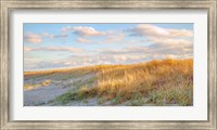 Grassy Dunes Panorama Fine Art Print