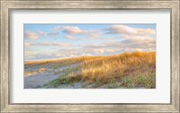 Grassy Dunes Panorama Fine Art Print