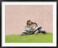 Tortoise on Pink Fine Art Print