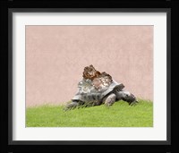 Tortoise on Pink Fine Art Print