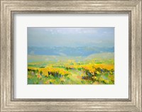 Yellow Valley Fine Art Print