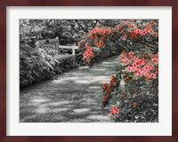 Delaware, Walkway In A Garden With Azaleas And A Park Bench Fine Art Print