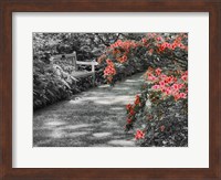 Delaware, Walkway In A Garden With Azaleas And A Park Bench Fine Art Print