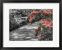 Delaware, Walkway In A Garden With Azaleas And A Park Bench Fine Art Print