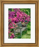 Delaware, A Dedication Bench Surrounded By Azaleas In A Garden Fine Art Print