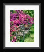 Delaware, A Dedication Bench Surrounded By Azaleas In A Garden Fine Art Print