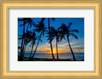 Sunset And Silhouetted Palm Trees, Kihei, Maui, Hawaii Fine Art Print