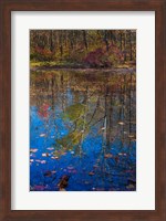 Fall Foliage Reflection In Lake Water Fine Art Print