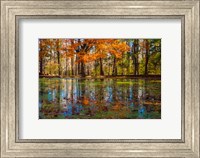 Fall Foliage Reflection In Lake Water Fine Art Print
