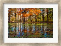 Fall Foliage Reflection In Lake Water Fine Art Print