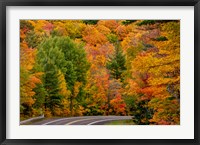 Autumn Color Along Highway 26 Near Houghton, Michigan Fine Art Print