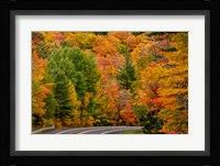 Autumn Color Along Highway 26 Near Houghton, Michigan Fine Art Print