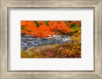 Sturgeon River In Autumn Near Alberta, Michigan Fine Art Print