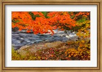 Sturgeon River In Autumn Near Alberta, Michigan Fine Art Print