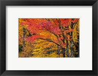 Fall Color On The Keweenaw Peninsula, Michigan Fine Art Print