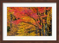 Fall Color On The Keweenaw Peninsula, Michigan Fine Art Print