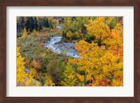 Autumn Color Along Divide Creek In Glacier National Park, Montana Fine Art Print
