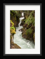 Glacier National Park, Montana Avalanche Creek Fine Art Print