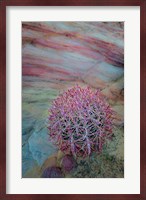 Nevada, Overton, Valley Of Fire State Park Multi-Colored Rock Formation And Cactus Fine Art Print