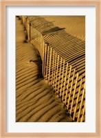 New Jersey, Cape May, Fence Shadow On Shore Sand Fine Art Print