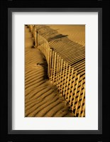New Jersey, Cape May, Fence Shadow On Shore Sand Fine Art Print