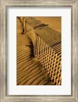 New Jersey, Cape May, Fence Shadow On Shore Sand Fine Art Print