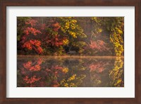 New Jersey, Belleplain State Fores,t Autumn Tree Reflections On Lake Fine Art Print
