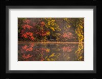 New Jersey, Belleplain State Fores,t Autumn Tree Reflections On Lake Fine Art Print